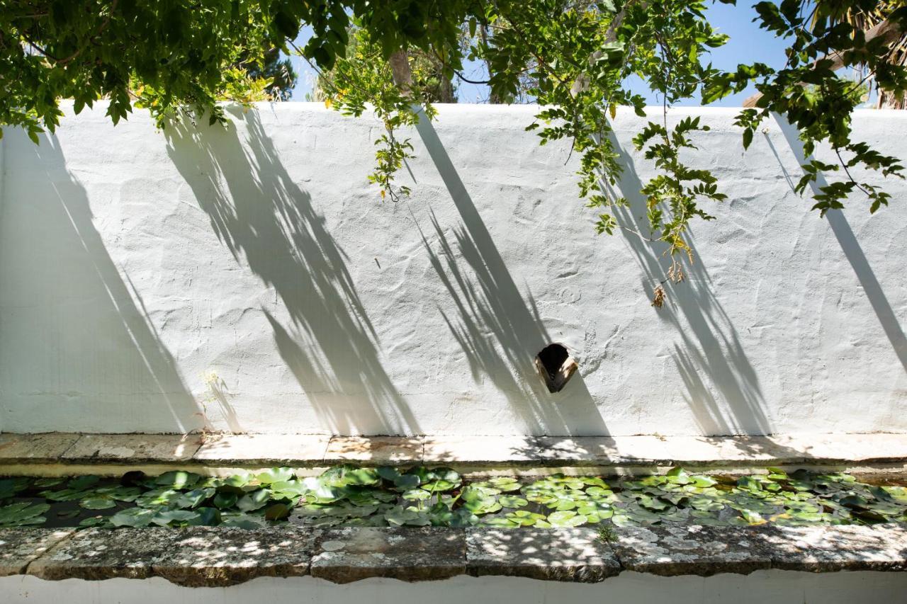 Altanure Quinta Sol D'Agua - Ecological Holiday Villa Tavira Zewnętrze zdjęcie